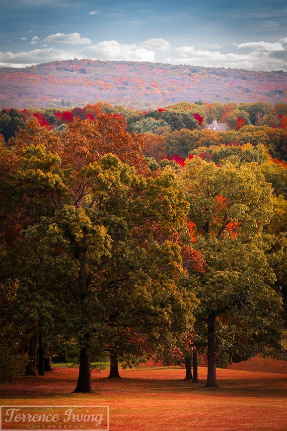 Tolland State Forest