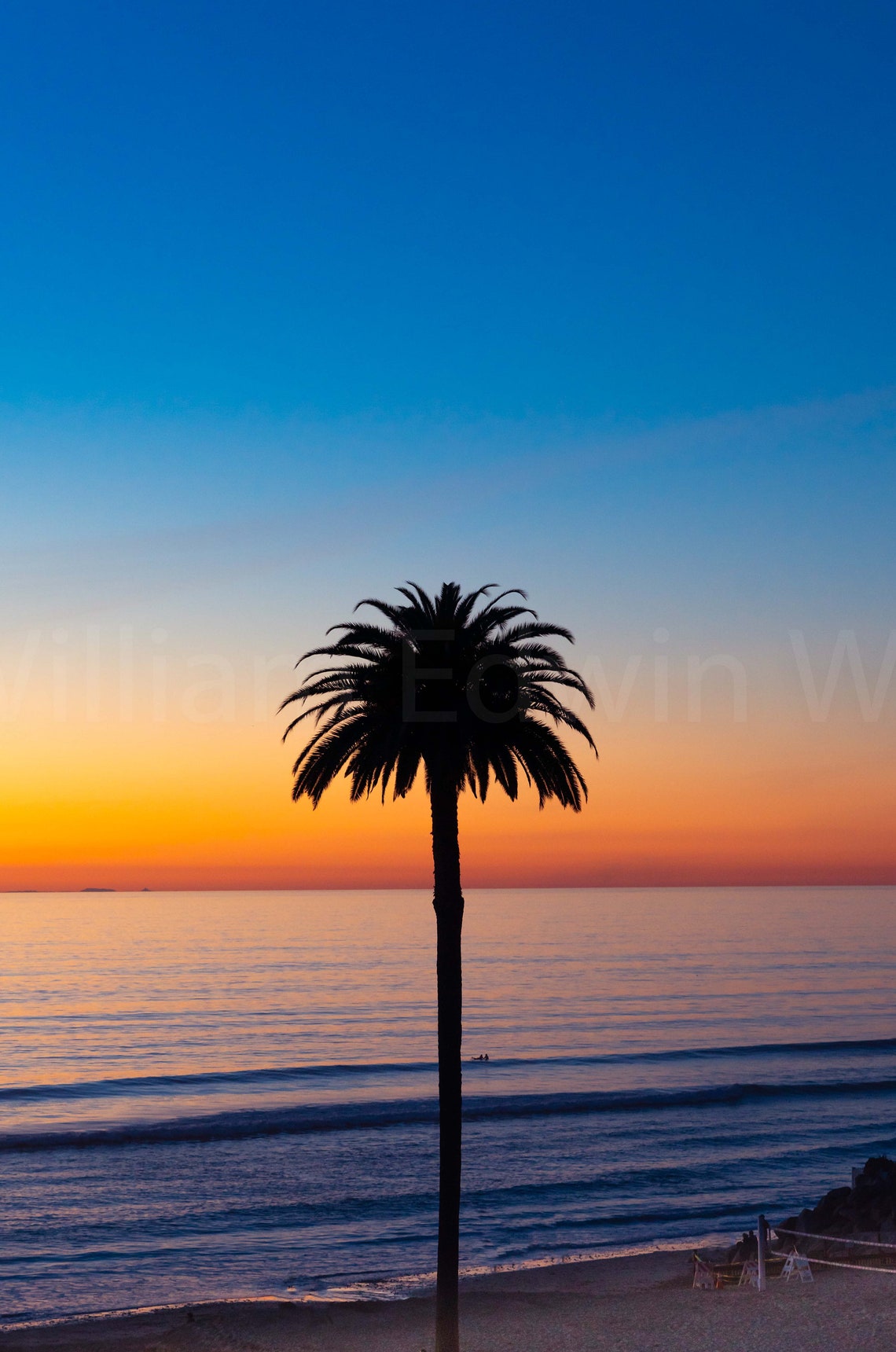 Moonlight Beach Encinitas Print Palm Tree Sunset San Diego Etsy