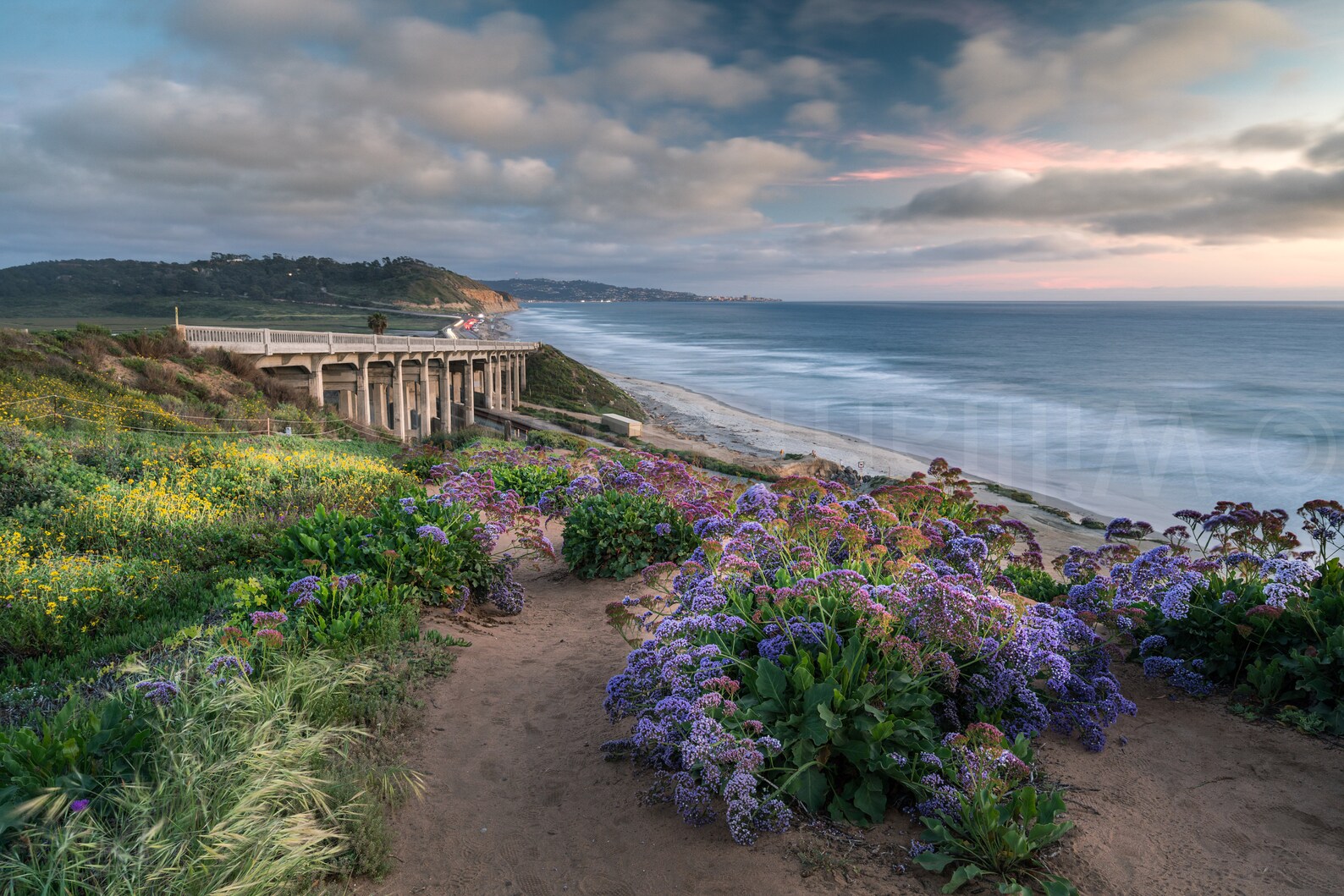 Torrey pines del mar san diego photography bridge train etsy