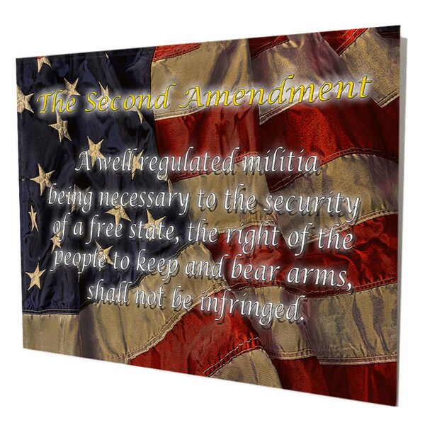 2nd Amendment Signs For Home Protected By 2nd Amendment Metal Sign| The Man In The Arena Metal Wall Art | Second Amendment Wall Decor