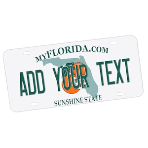 Florida Custom Novità Vanity Targa / Segno di metallo / Auto / Camion / Metal Wall Art / Custom / Monogram / Sunshine State / Regalo