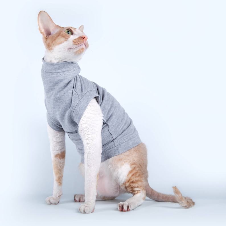 cat turtleneck