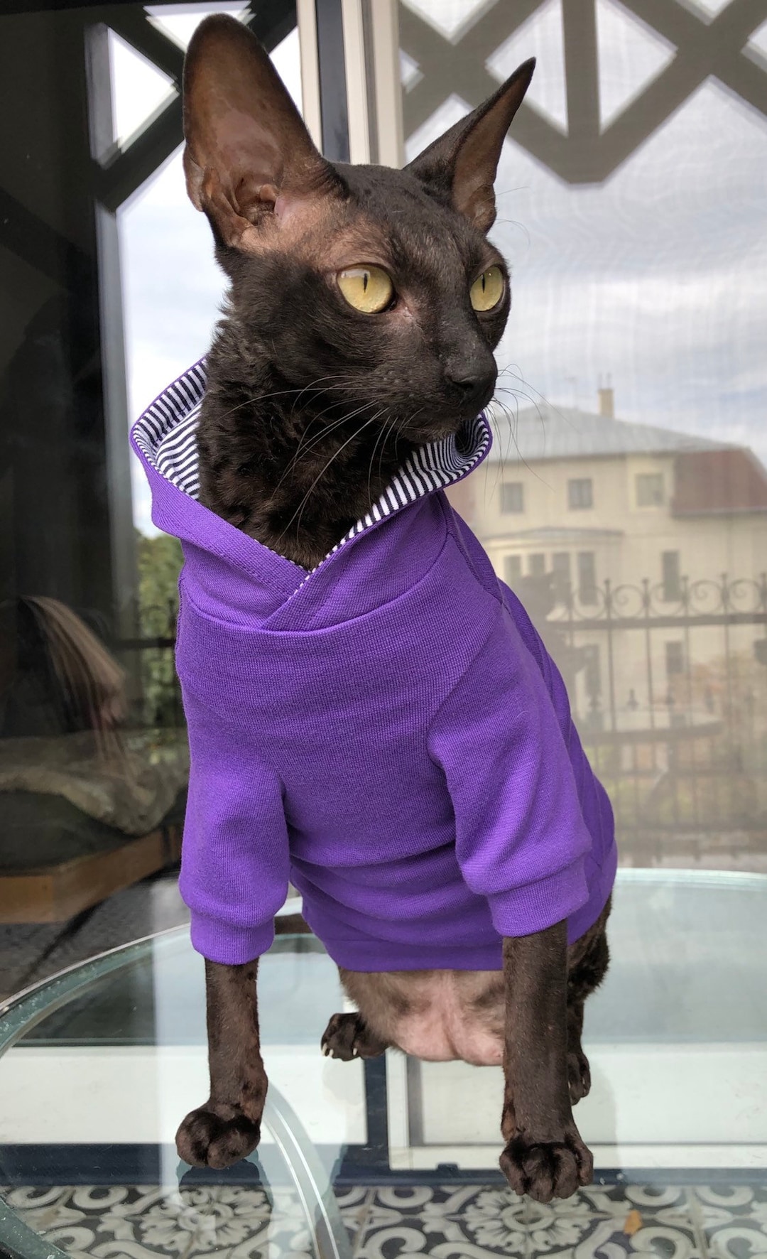 Kotomoda CAT WEAR Purple Hoodie - Etsy