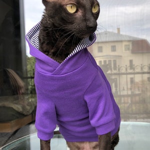 May include: A black hairless cat wearing a purple hooded sweater with a white and black striped collar. The cat is sitting on a glass table.