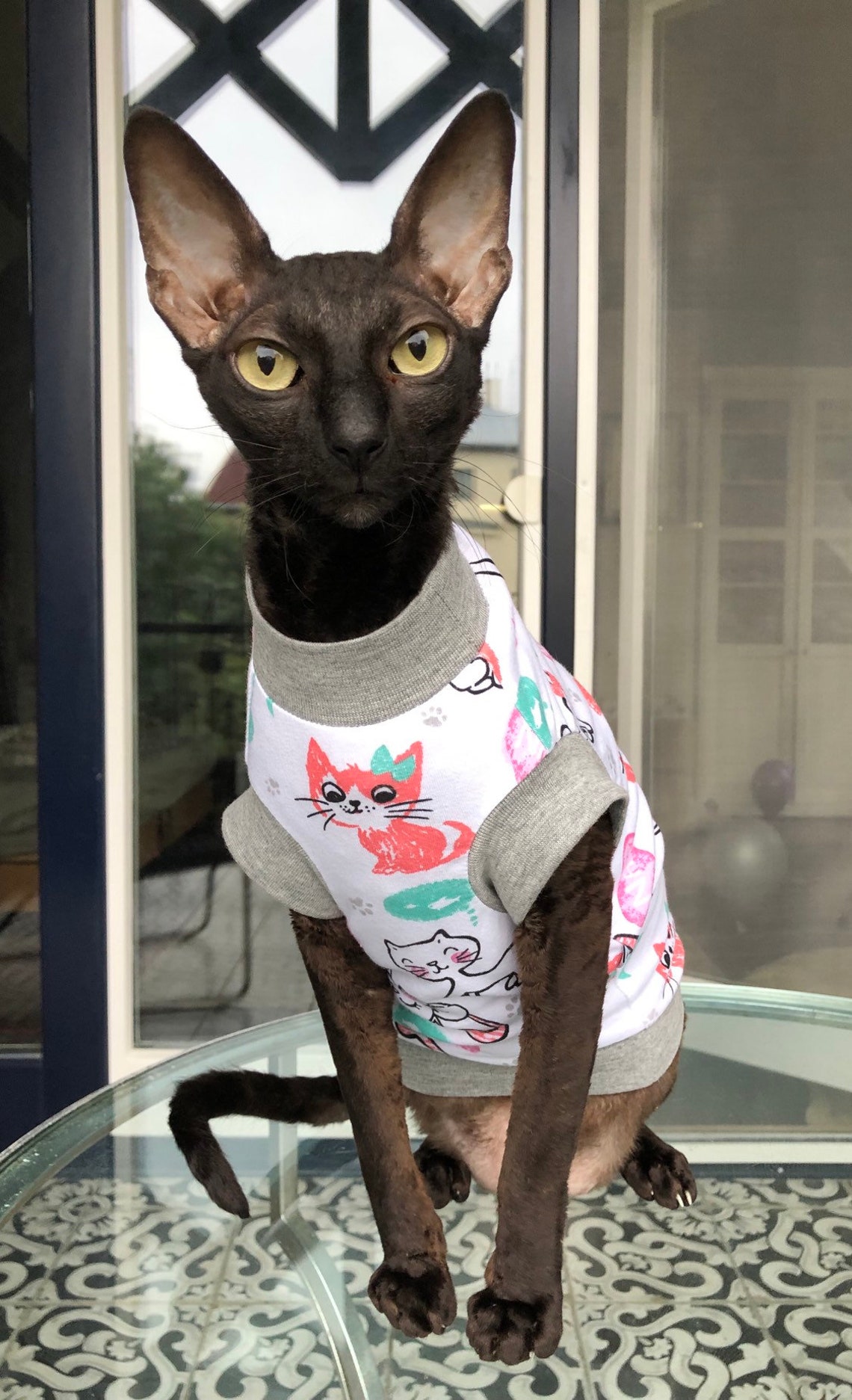 Kotomoda Cat T-Shirt - Red Skulls Design For Sphynx & Hairless Cats, Size M, Soft Cotton Clothing