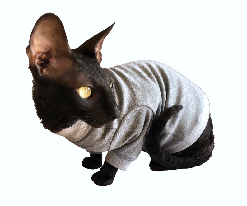 Kotomoda CAT WEAR cotton sweater Home sweet home image 3