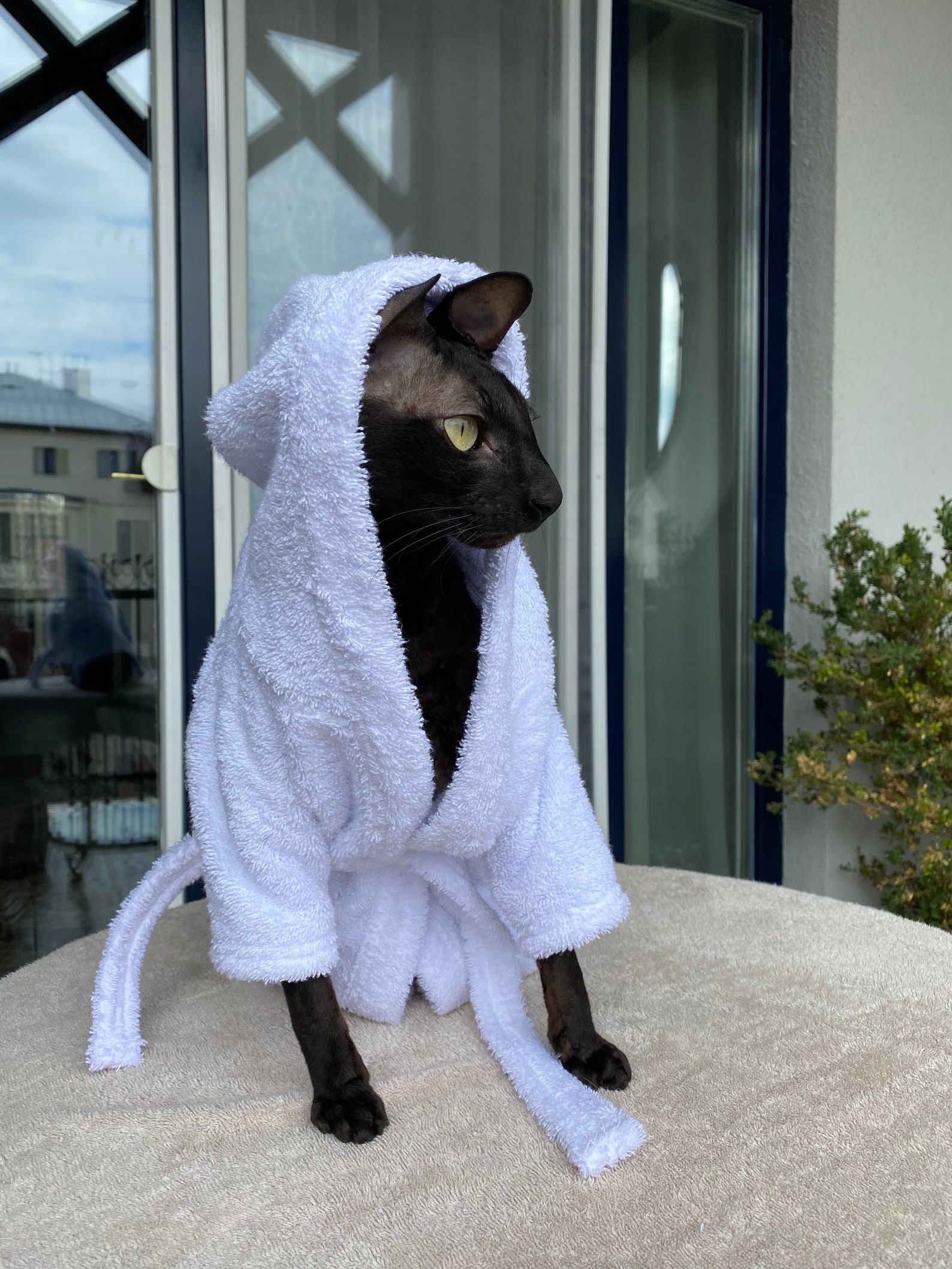 Kotomoda CAT WEAR Bathrobe White Etsy