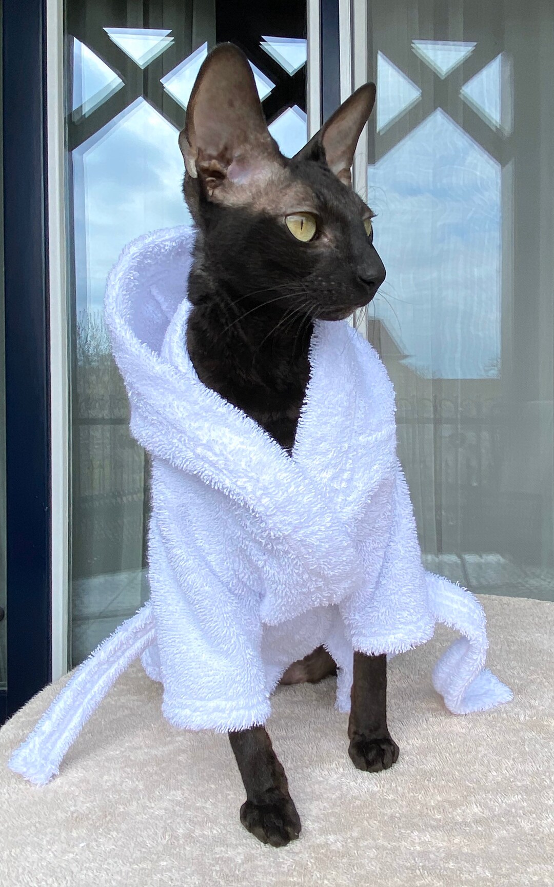 Kotomoda CAT WEAR Bathrobe White
