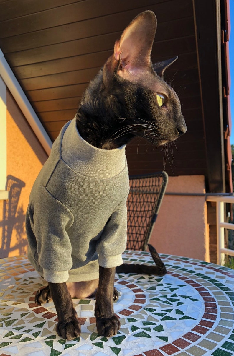 Kotomoda CAT WEAR cotton sweater Home sweet home image 7