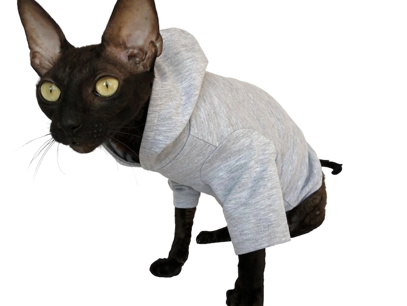 collared shirt with bow tie