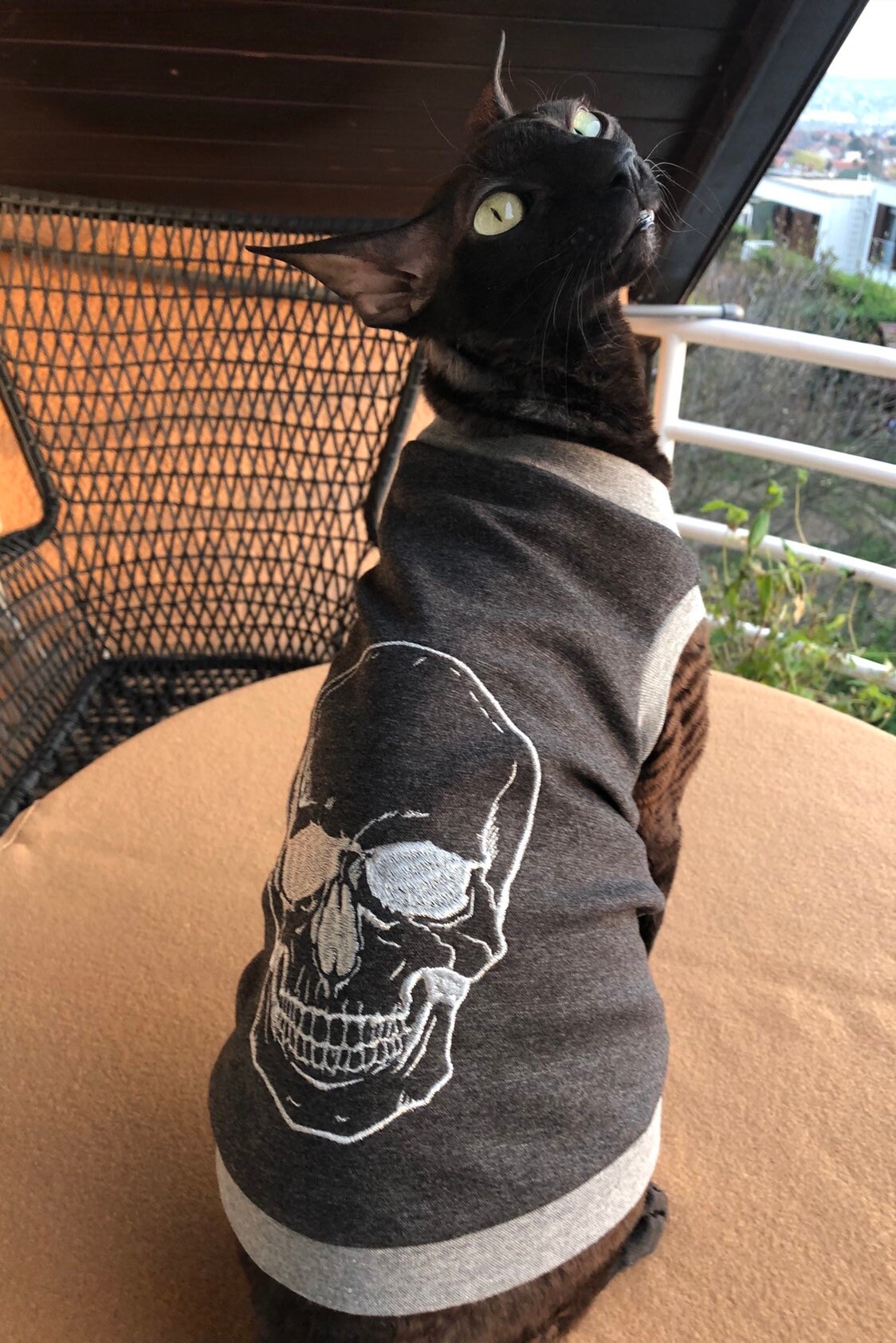 Cat T-Shirt For Hairless Cats - Summer Skull Print For Sphynx & Naked Breeds
