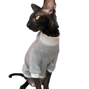 May include: A black hairless cat wearing a gray turtleneck sweater. The cat is sitting and looking to the right.