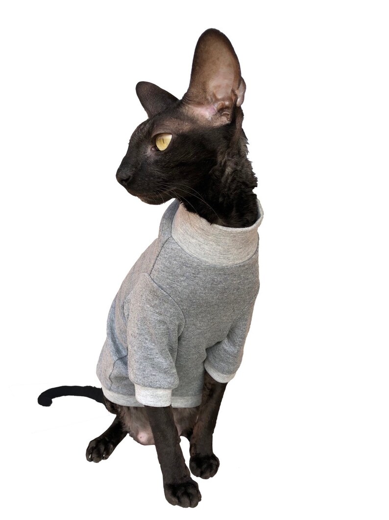 Kotomoda CAT WEAR cotton sweater Home sweet home image 1