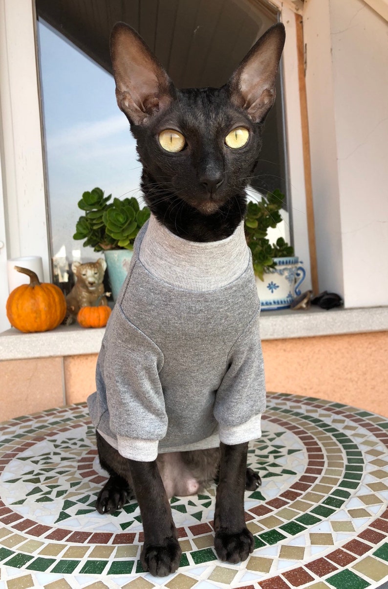 Kotomoda CAT WEAR cotton sweater Home sweet home image 6