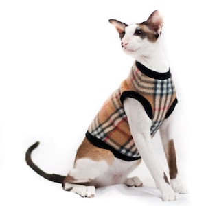 Può includere: Un gatto orientale a pelo corto bianco e marrone che indossa un gilet di maglia a quadri marrone, nero e bianco. Il gatto è seduto su uno sfondo bianco.