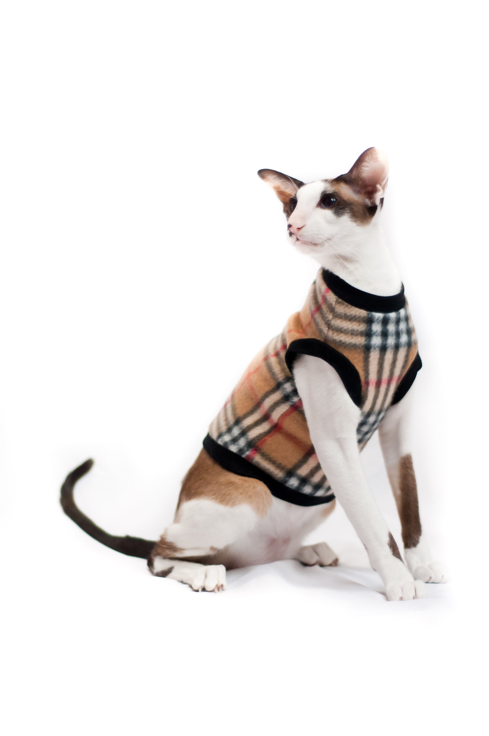 Kotomoda CAT WEAR Sweater Brown Cage флис