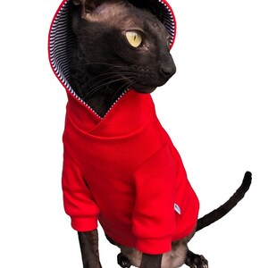 May include: A black hairless cat wearing a red hooded sweatshirt with white and black stripes on the inside of the hood.