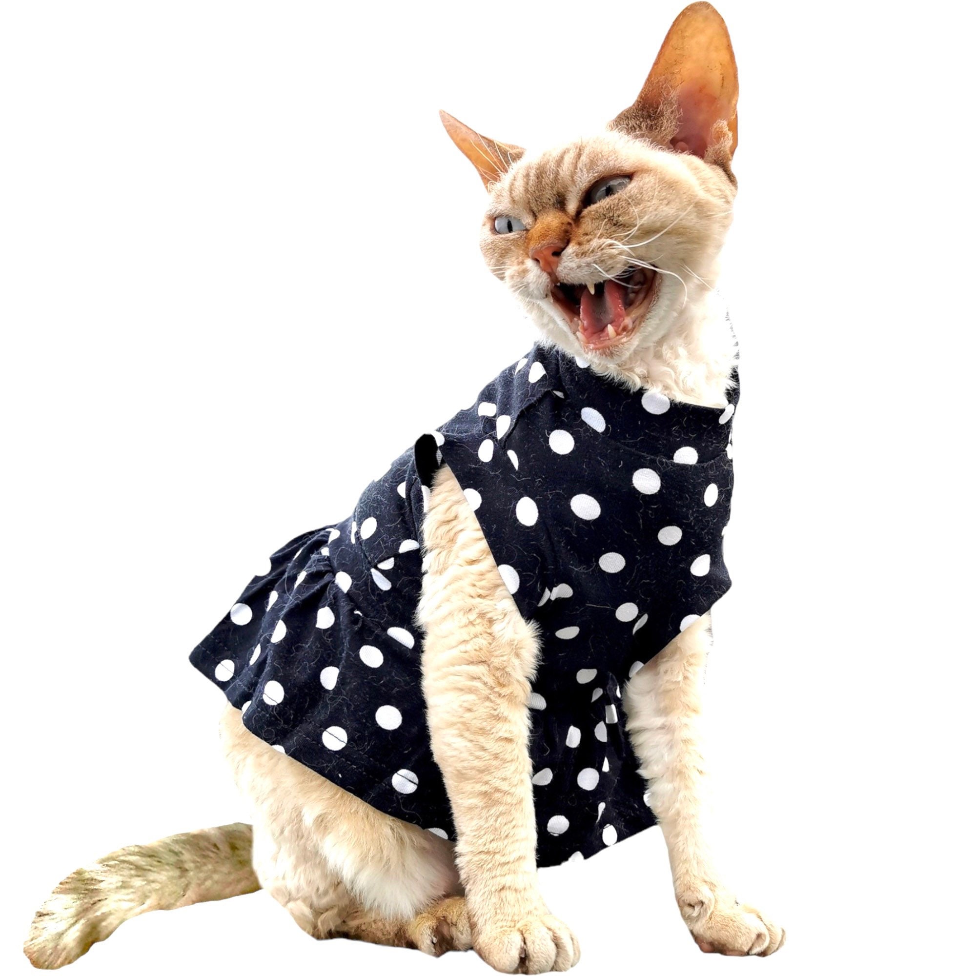 Kotomoda CAT WEAR Polka-dot dress