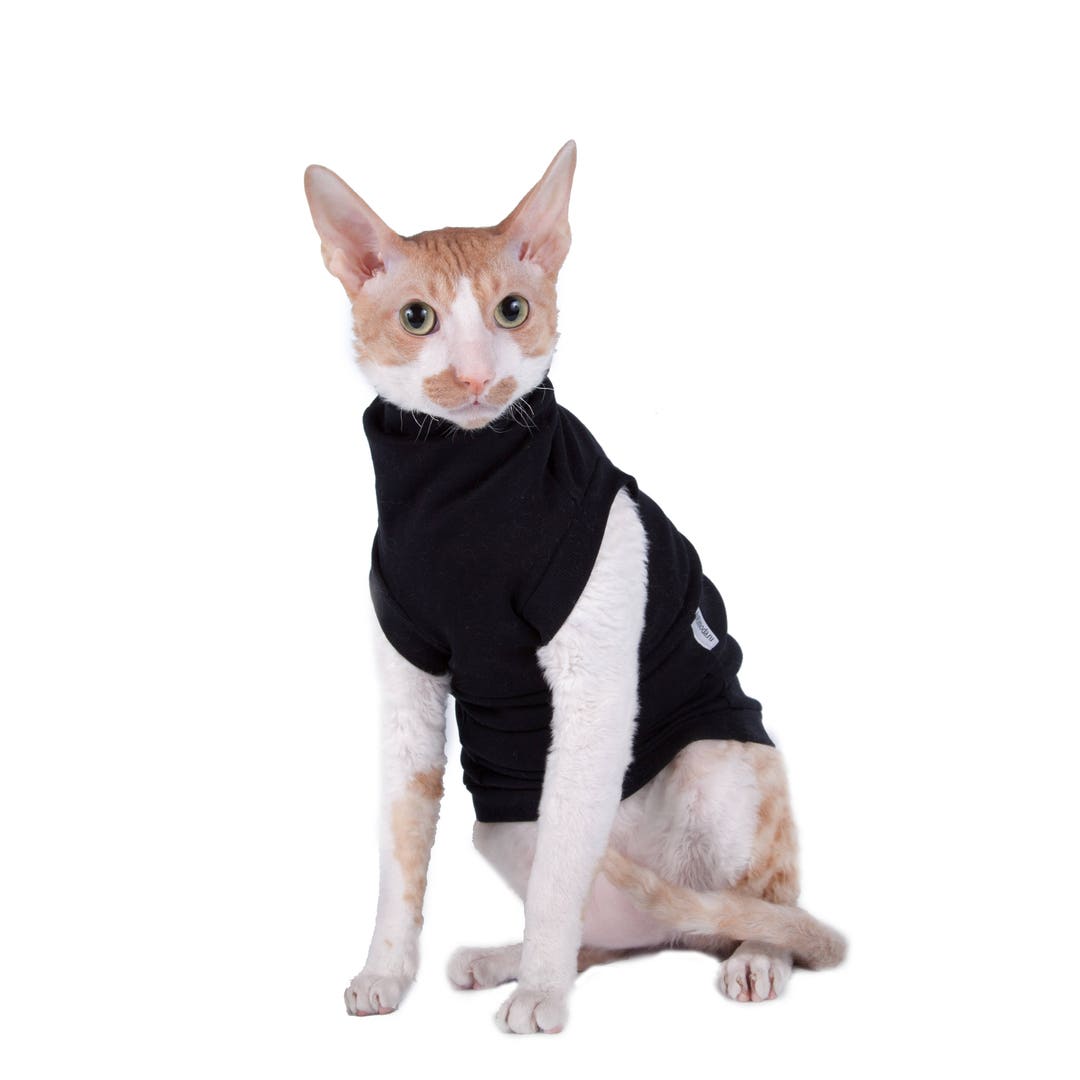 Kotomoda Katzenkleidung Turtleneck Winter - Rollkragenpulli Für Haarlose Katzen