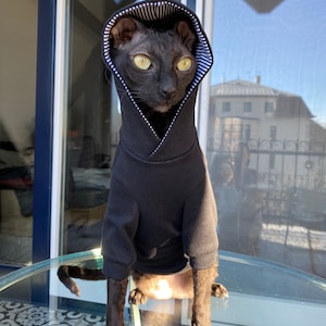 May include: A black cat wearing a black hooded sweatshirt with white stripes on the hood. The cat is sitting on a glass table with a patterned tile floor.