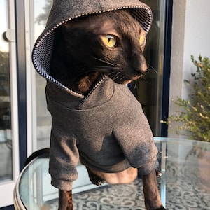 May include: A black cat wearing a gray hooded sweatshirt with a white and black striped trim. The cat is sitting on a glass table with a patterned surface.