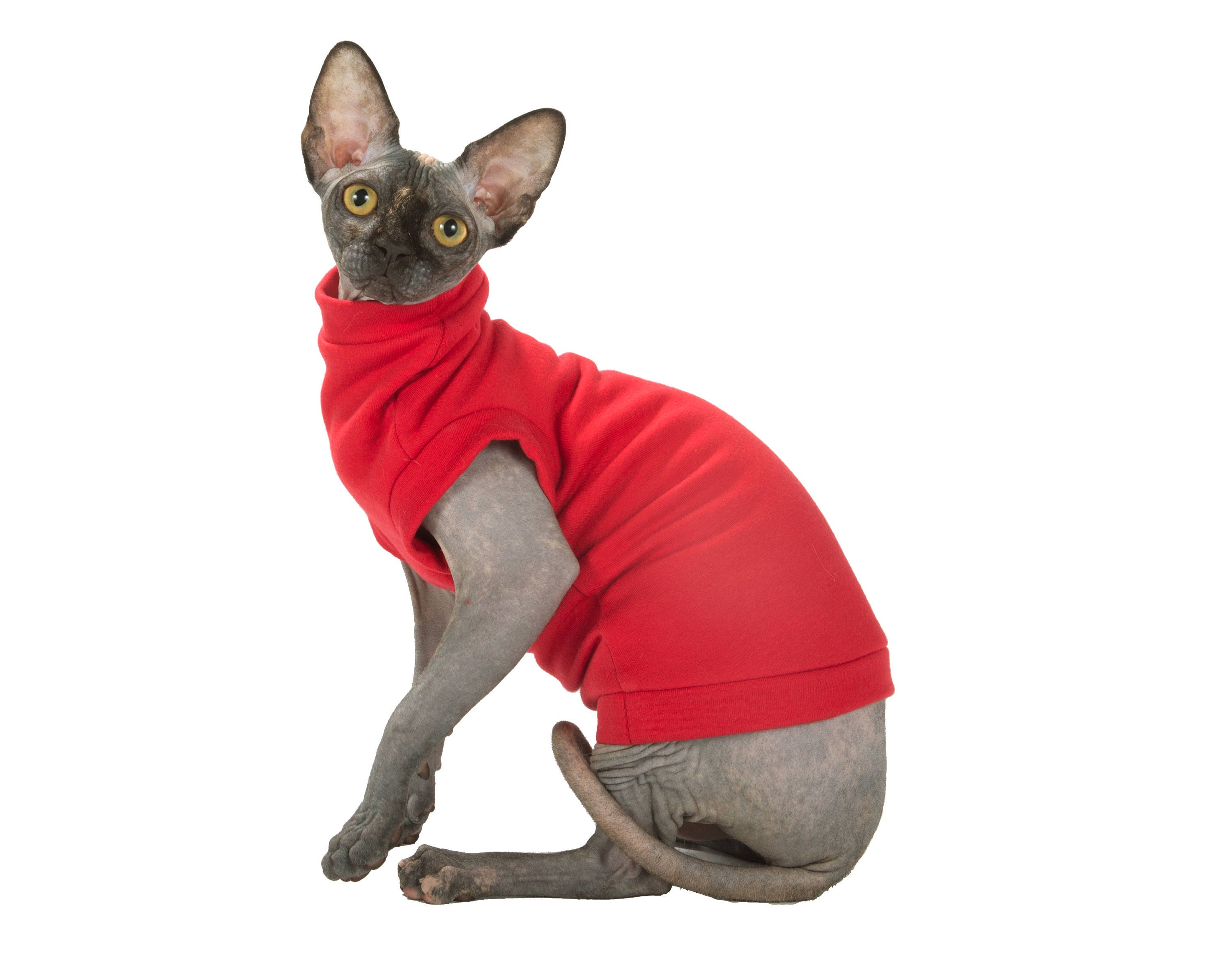 Kotomoda Katzen Kleidung Turtleneck Fleece - Warme Kleidung Für Haarlose Katzen