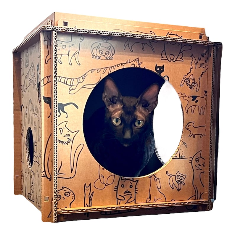 Pode incluir: Uma casa de gato de cart&atilde;o com uma abertura redonda. A casa &eacute; decorada com ilustra&ccedil;&otilde;es de gatos em preto e branco. Um gato preto olha atrav&eacute;s da abertura.