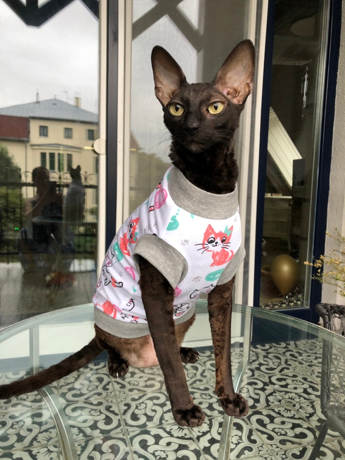 Kotomoda Cat T-Shirt - Red Skulls Design For Sphynx & Hairless Cats, Size M, Soft Cotton Clothing - View #8
