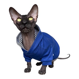 May include: A black hairless cat wearing a blue hooded sweater with a white and black striped trim. The cat is sitting on a white background and looking up.