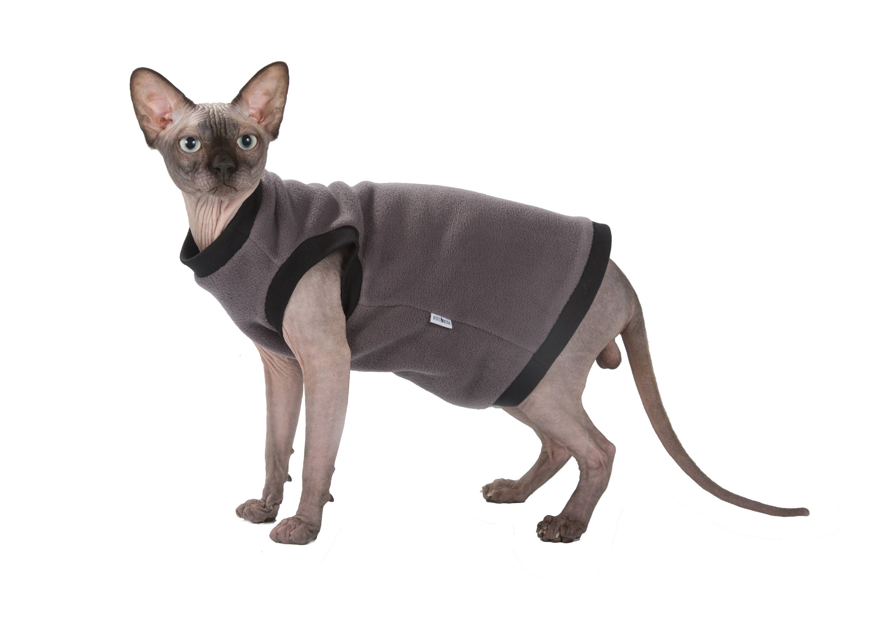 Kotomoda Katzen Pullover Blau - Weicher Strick Für Haarlose Katzen
