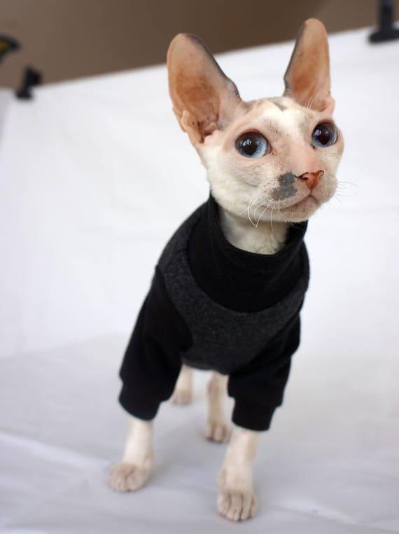 sphynx cat turtleneck