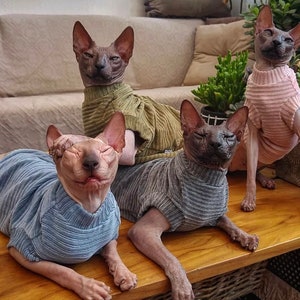 Kotomoda CAT WEAR t-shirt  Corduroy