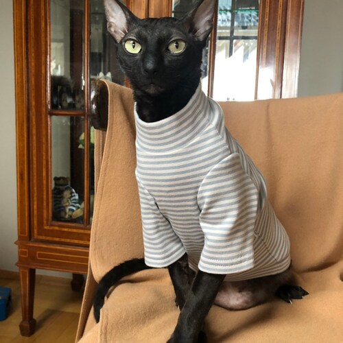 grey cat t shirt