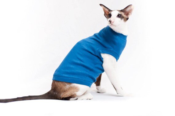 cat turtleneck
