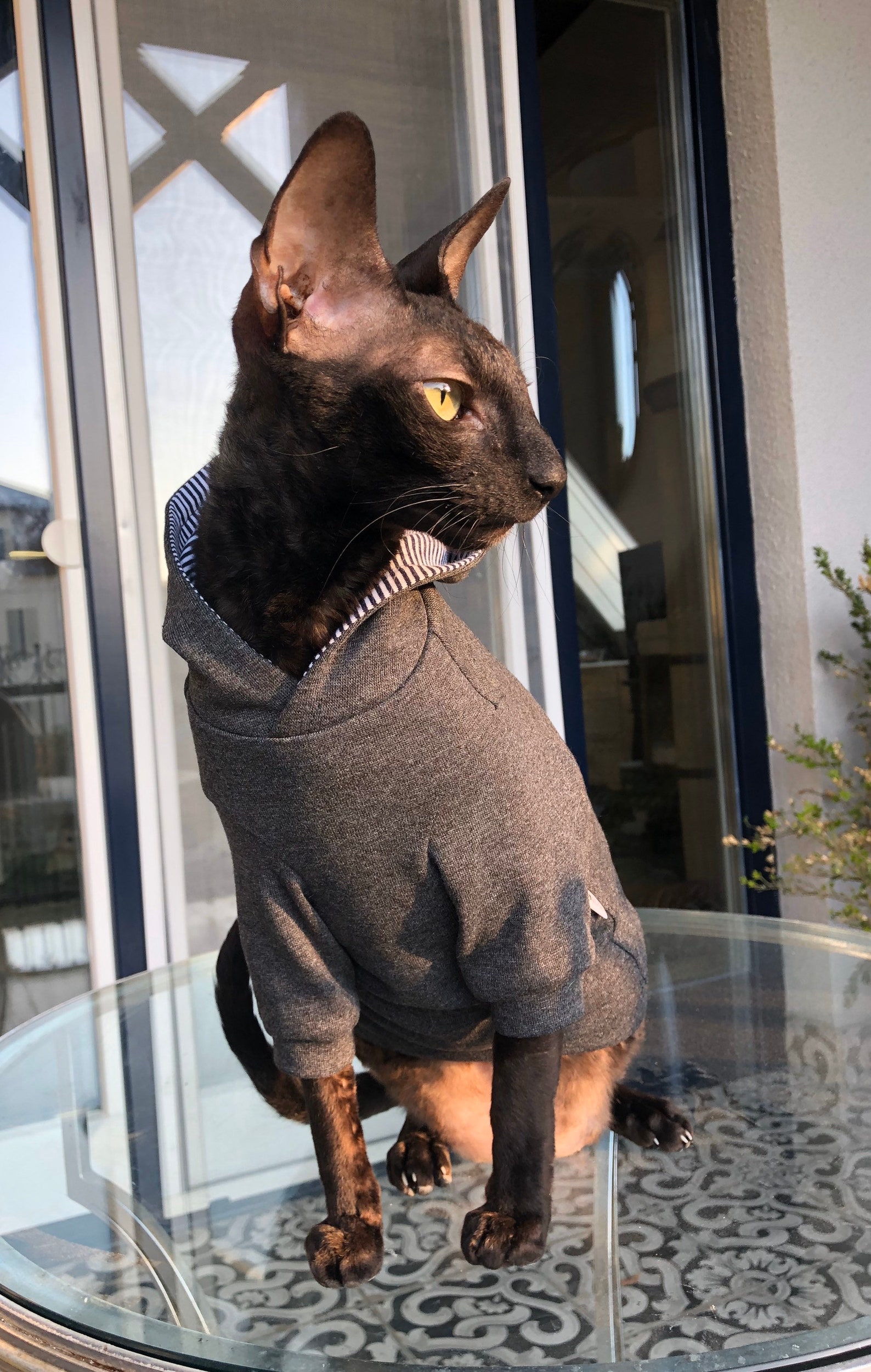 Ropa De Gato Kotomoda Ropa Para Gatos Suéter Tartán Rojo (L Ropa Para Gato Amazon