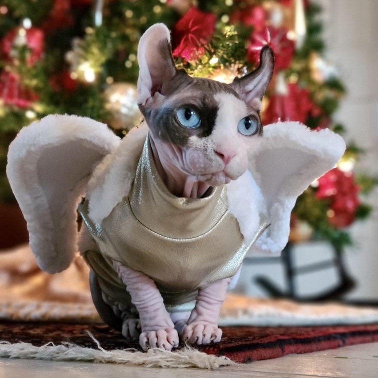 Christmas Angel Gold - Etsy