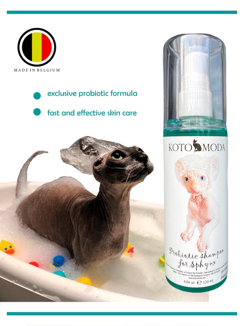 Kotomoda Probiotic Shampoo for Sphynx Cats Etsy