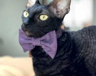 Котомода CAT WEAR Лук галстук фиолетовый