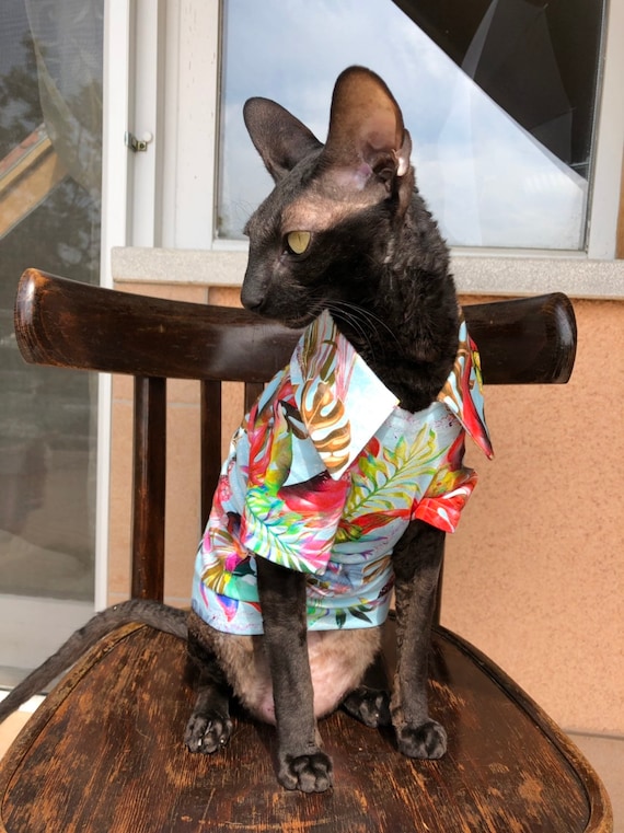 Kotomoda CAT WEAR t-shirt Palmas | Etsy