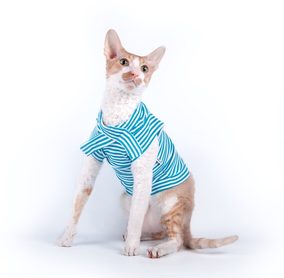 t shirts for cats to wear