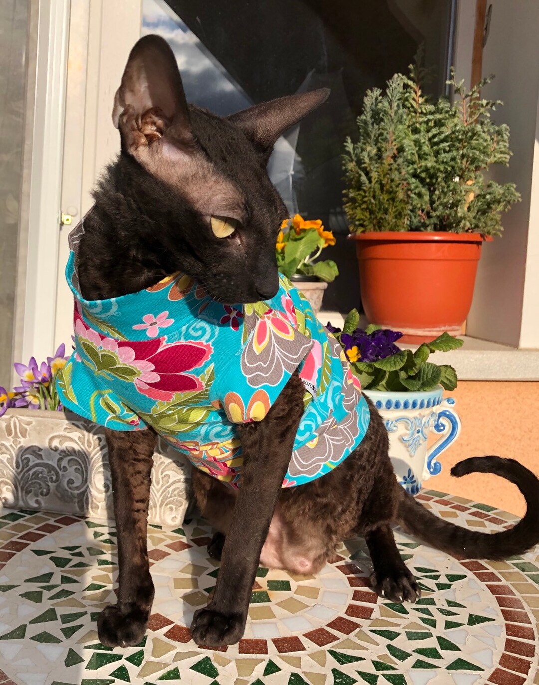 Kotomoda CAT WEAR Limited Edition T-shirt Happy Spring