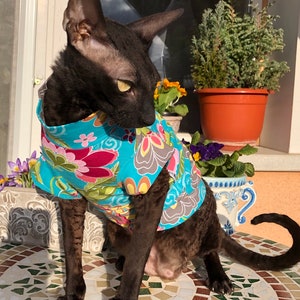 Kotomoda CAT WEAR limited edition t-shirt Happy spring