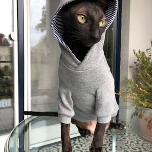 May include: A black hairless cat wearing a gray hooded sweatshirt with a white and black striped trim. The cat is sitting on a glass table with a patterned tile floor.