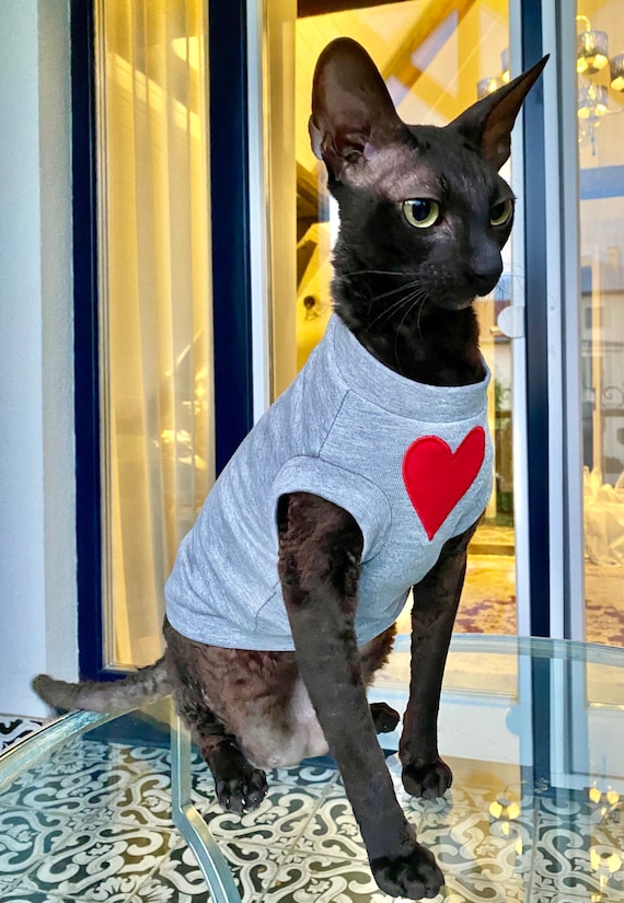 Cat wearing t shirt Clearance