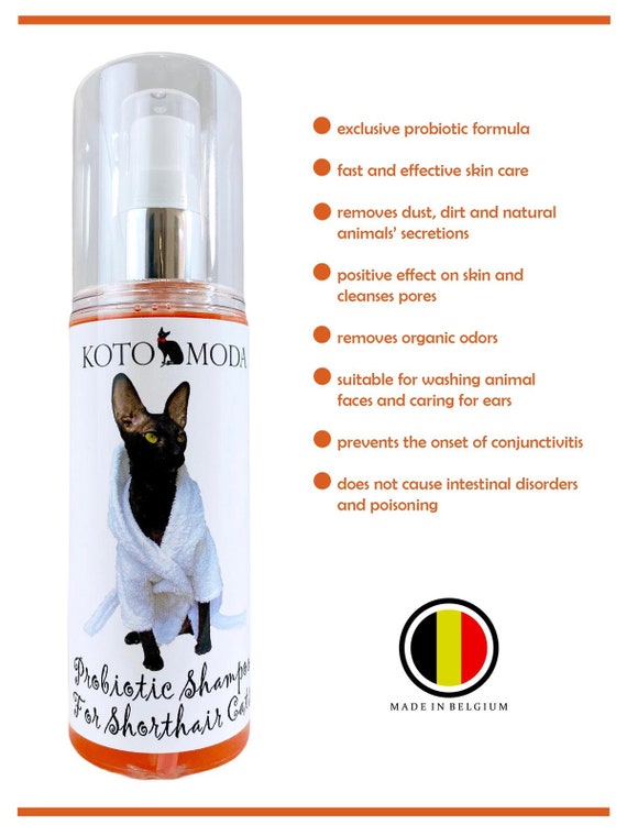 Kotomoda Probiotic Shampoo for Shorthair Cats Cornish Rex
