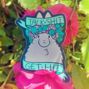 Talk Shit get Hit • Vinyl Aufkleber