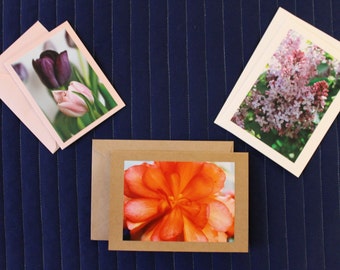 Lote # 13 - 3 paquete de hermosas tarjetas de felicitación. Las fotos de portada muestran una variedad de flores bellamente coloreadas.  En blanco en el interior, sobre incluido.