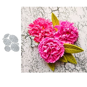 5pcs Flower Metal Cutting Die,Paper Craft Cutting Die, Stencil,Scrapbooking Dies,DIY Card Making,Die Cut
