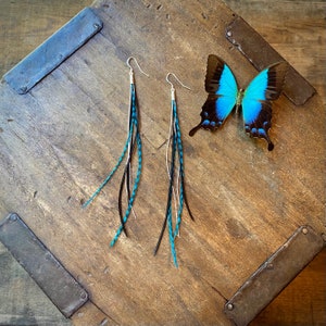 Turquoise and Black Feather Earrings, Deep Turquoise Blue Resort Style Earrings, Caribbean Blue and Black Striped Earrings, Delicate Earring