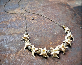 Jewelry Bone, Vertebrae Necklace, Witchy Necklace, Shaman Necklace, Real Bones, Pagan, Necklace Wild, Necklace Earthy, Exotic Necklace